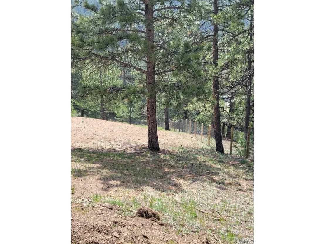 Photo of 11678 Crescent Park Cir