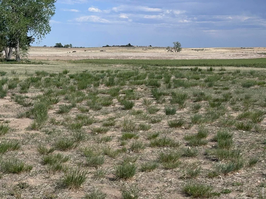 Photo of 9718 County Road 3