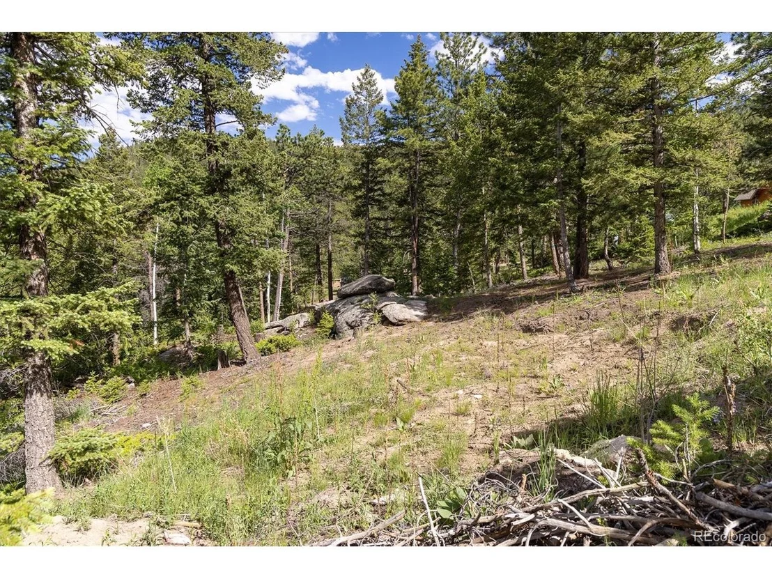 Photo of 31429 Burke Rd