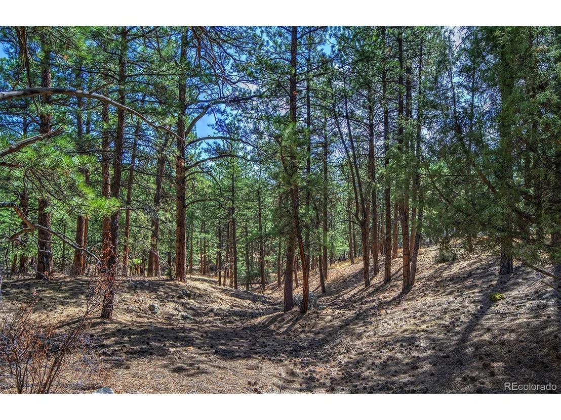 Photo of 27444 Pine Valley Dr
