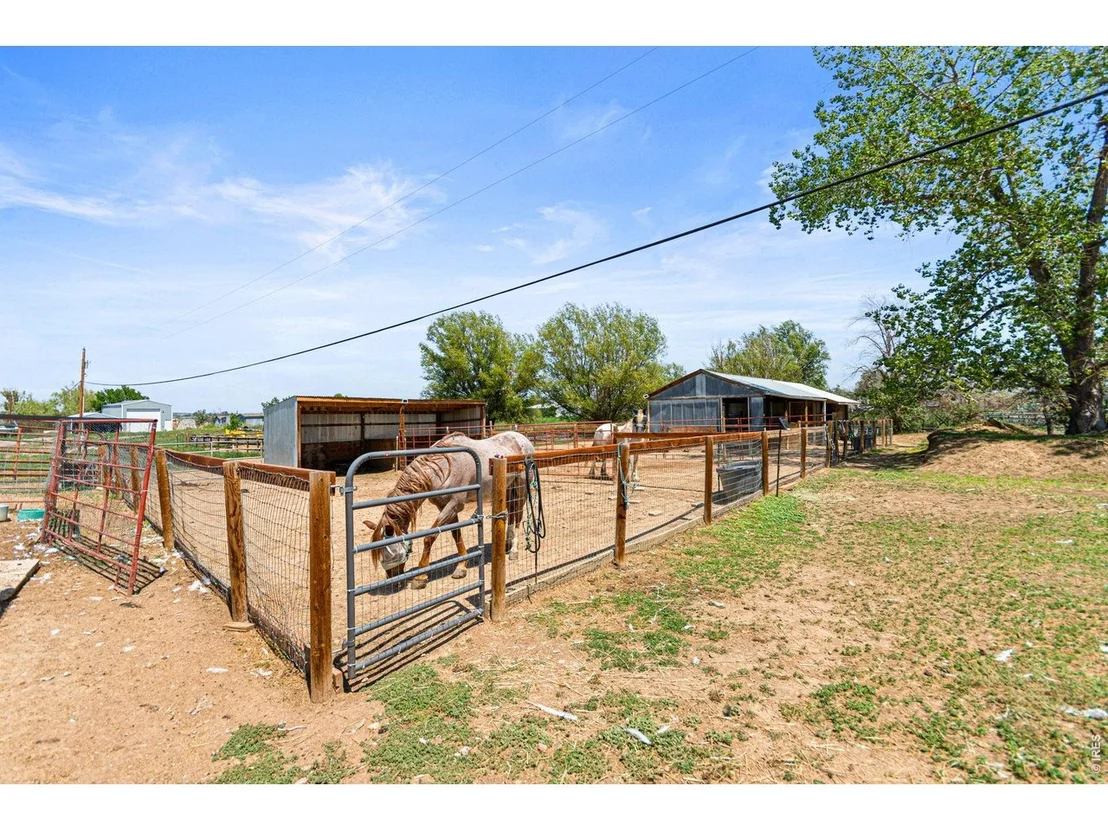 Photo of 2012 Charro Ave