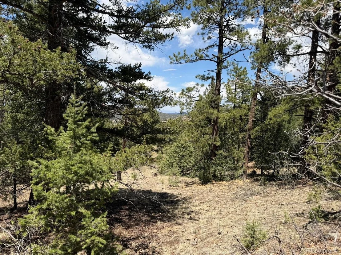 Photo of 477 Bear Peak Rd