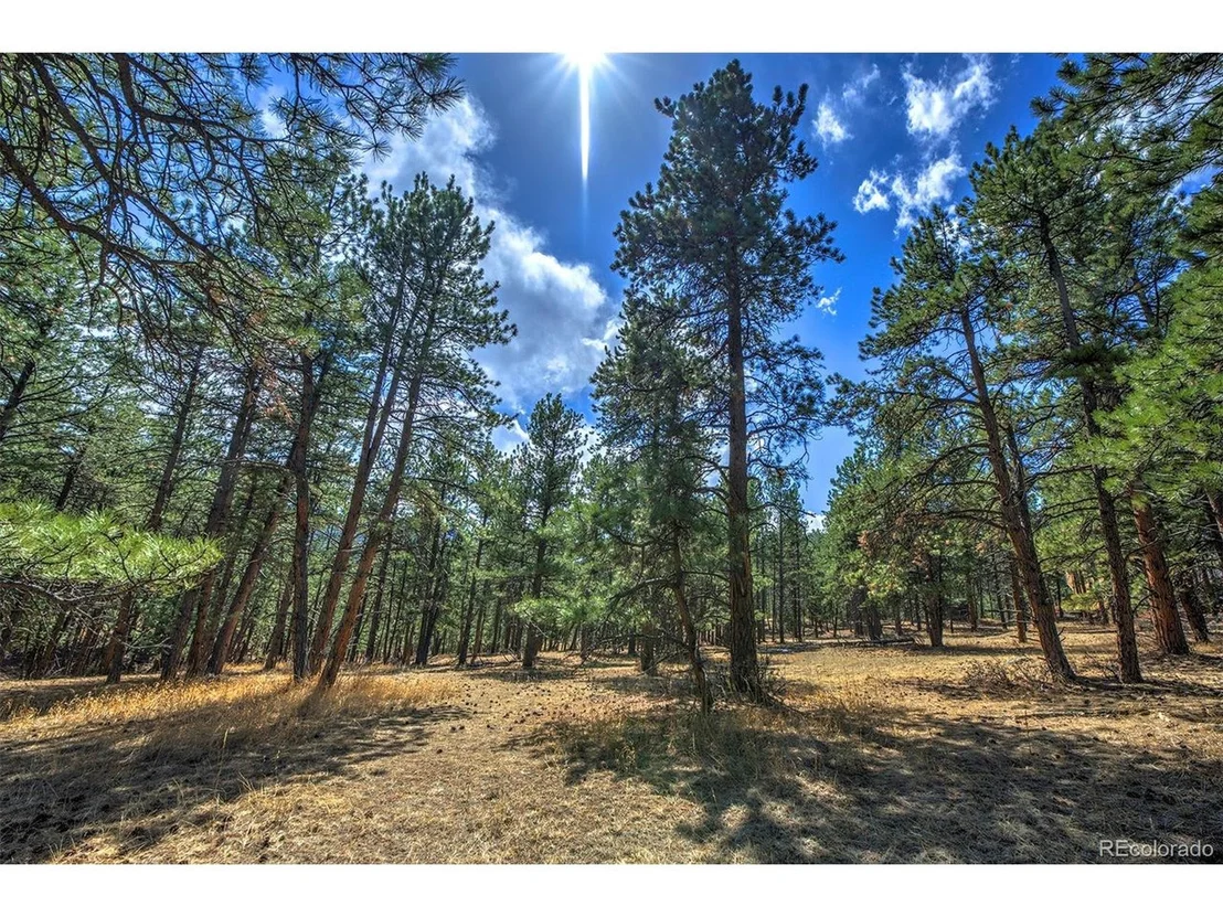 Photo of 27554 Pine Valley Dr