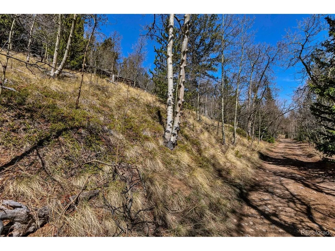 Photo of 270 Co Rd 667