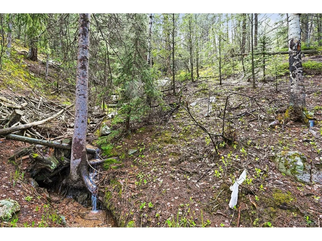 Photo of 29825 Kennedy Gulch Rd