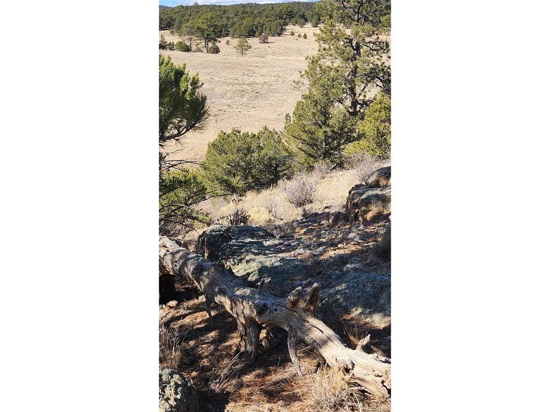 Photo of 311 Kit Carson Trl