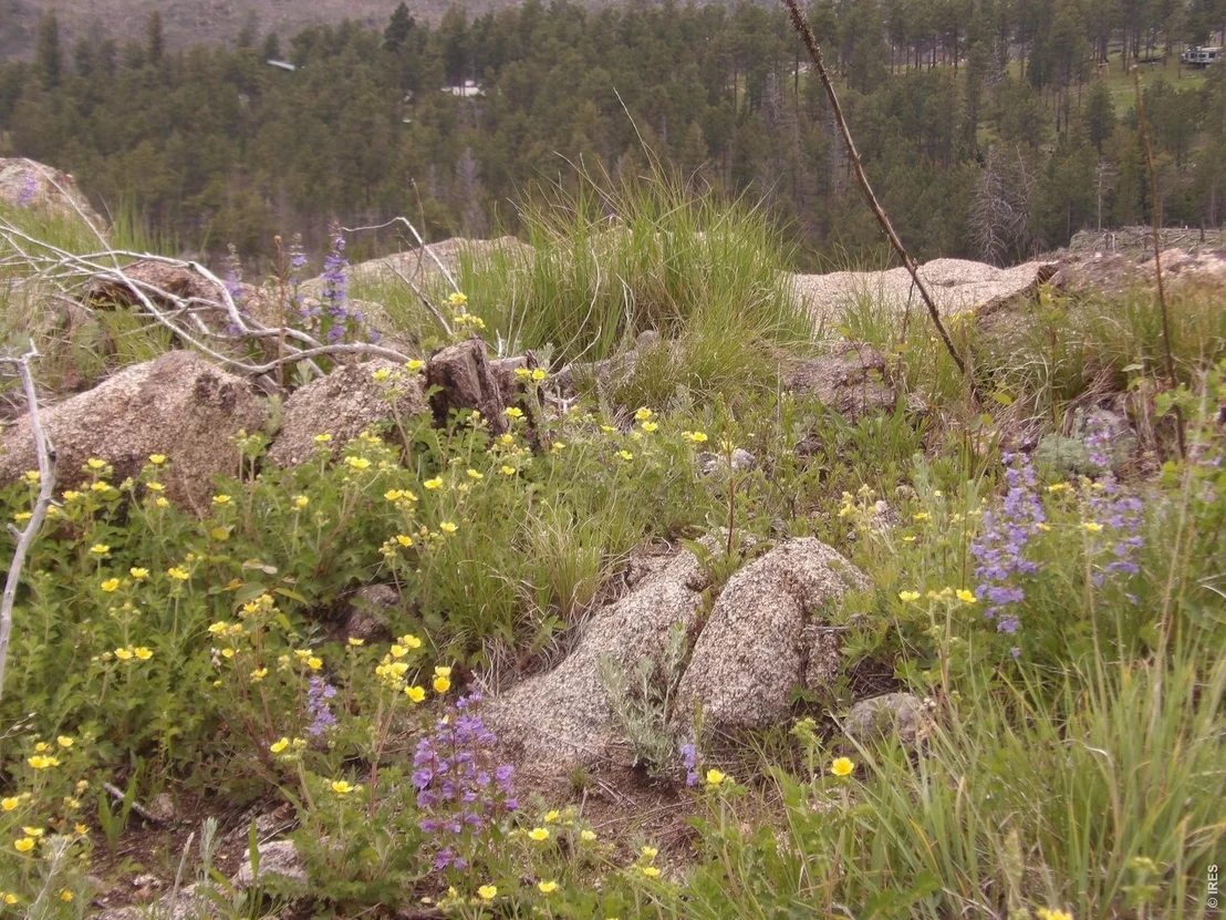 Photo of 3434 Davis Ranch Rd
