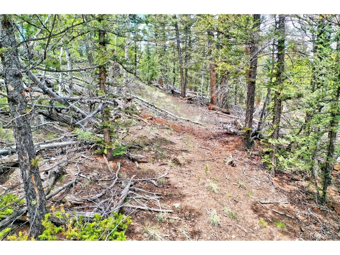 Photo of 28 Old Squaw Rd