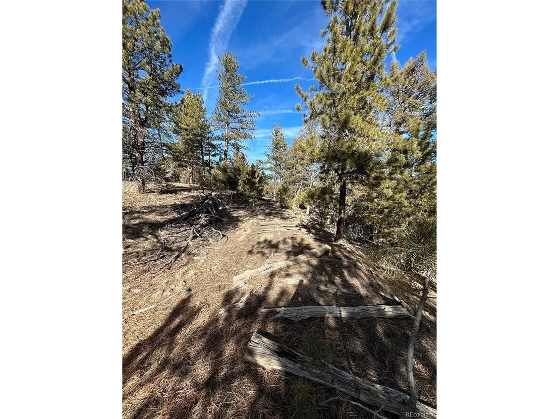 Photo of 4376 Campfire Rd
