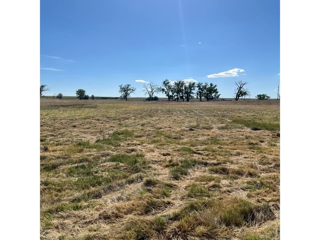 Photo of 26247 County Road 2