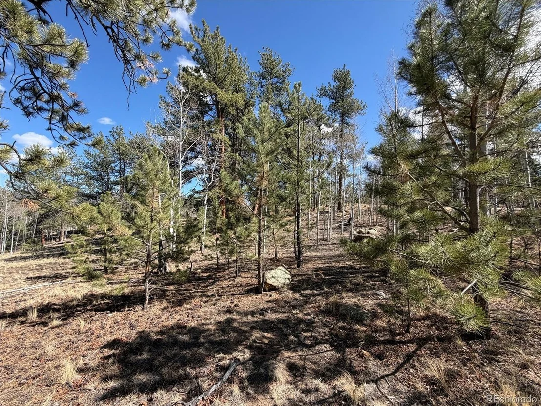 Photo of 239 Shenandoah Path