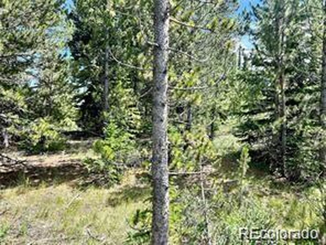 Photo of 76 Ute Way