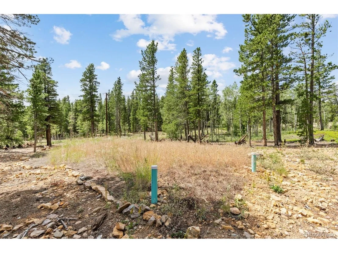 Photo of 20 Paint Brush Dr