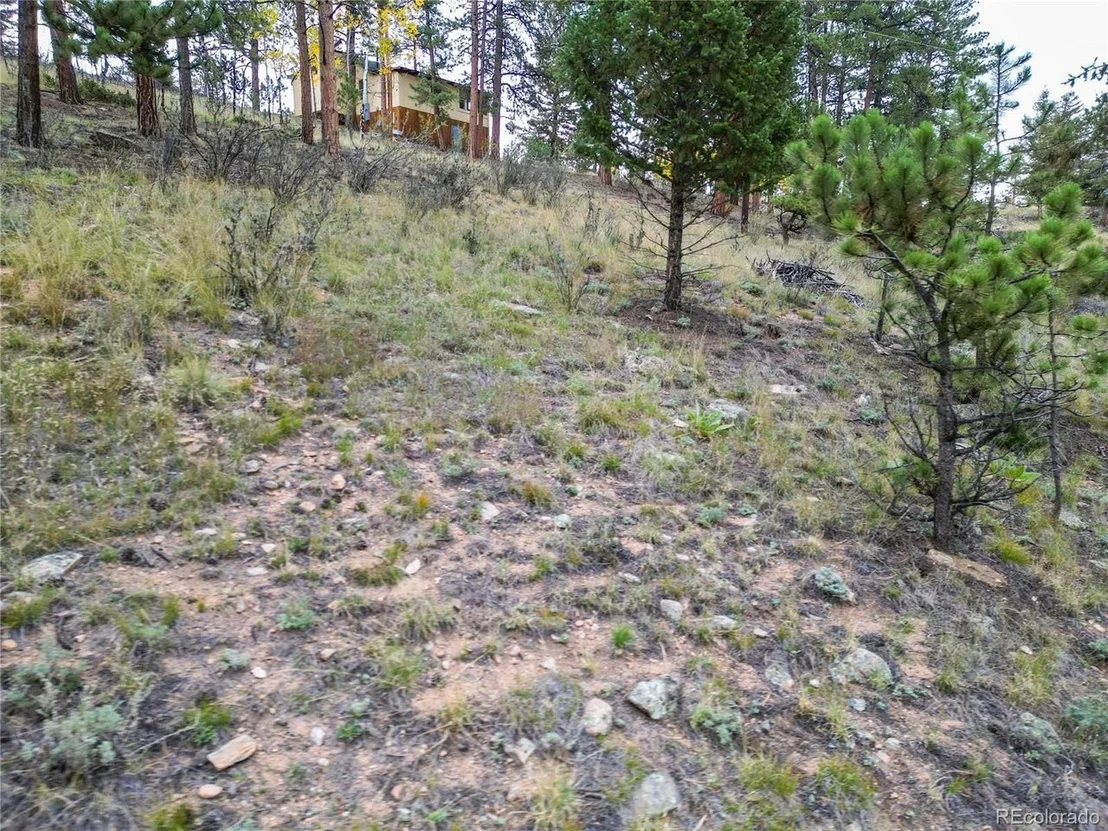 Photo of 33247 Jennifer Rd