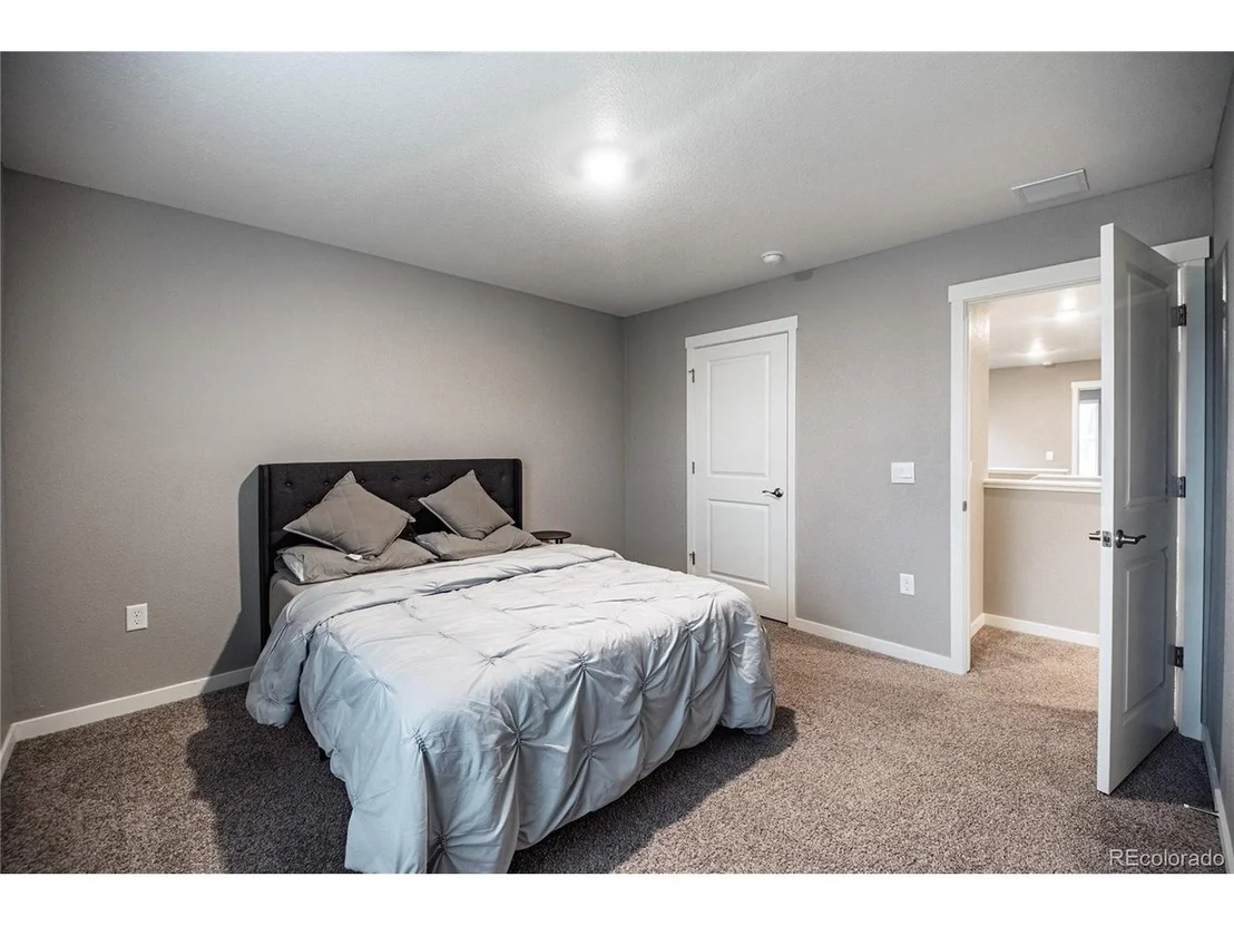 Photo of 17308 Red Cosmos Pt