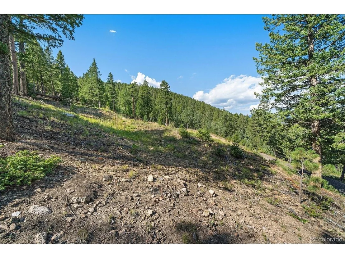 Photo of 33844 Bergen View Trl