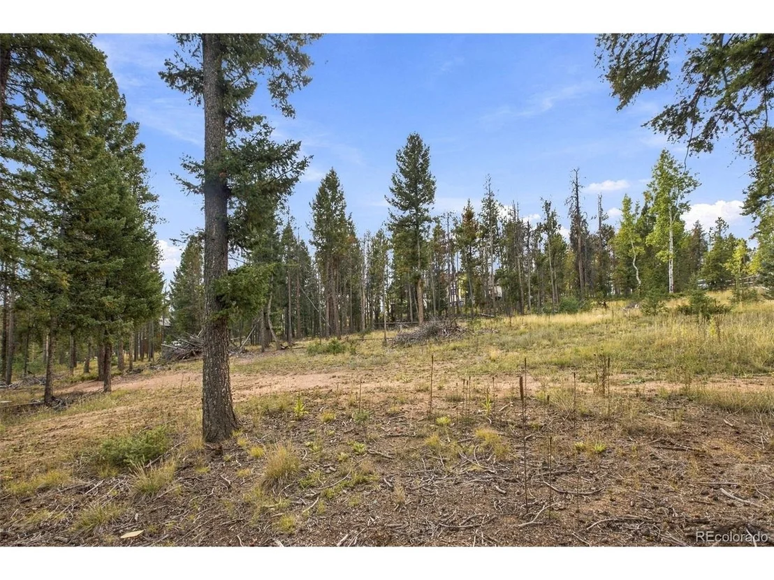Photo of 27687 Pine Grove Trl