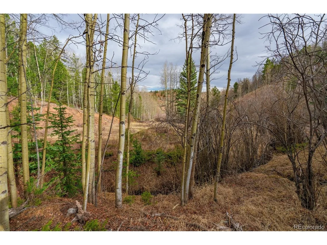 Photo of 130 Grey Eagle Way