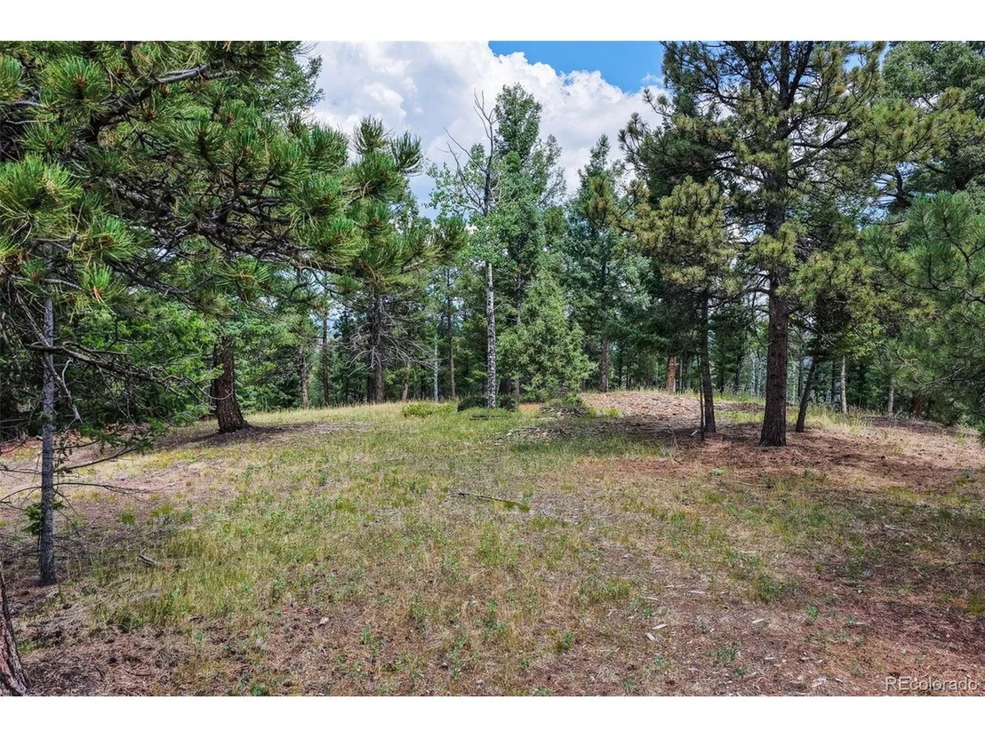 Photo of 26545 Richmond Hill Rd