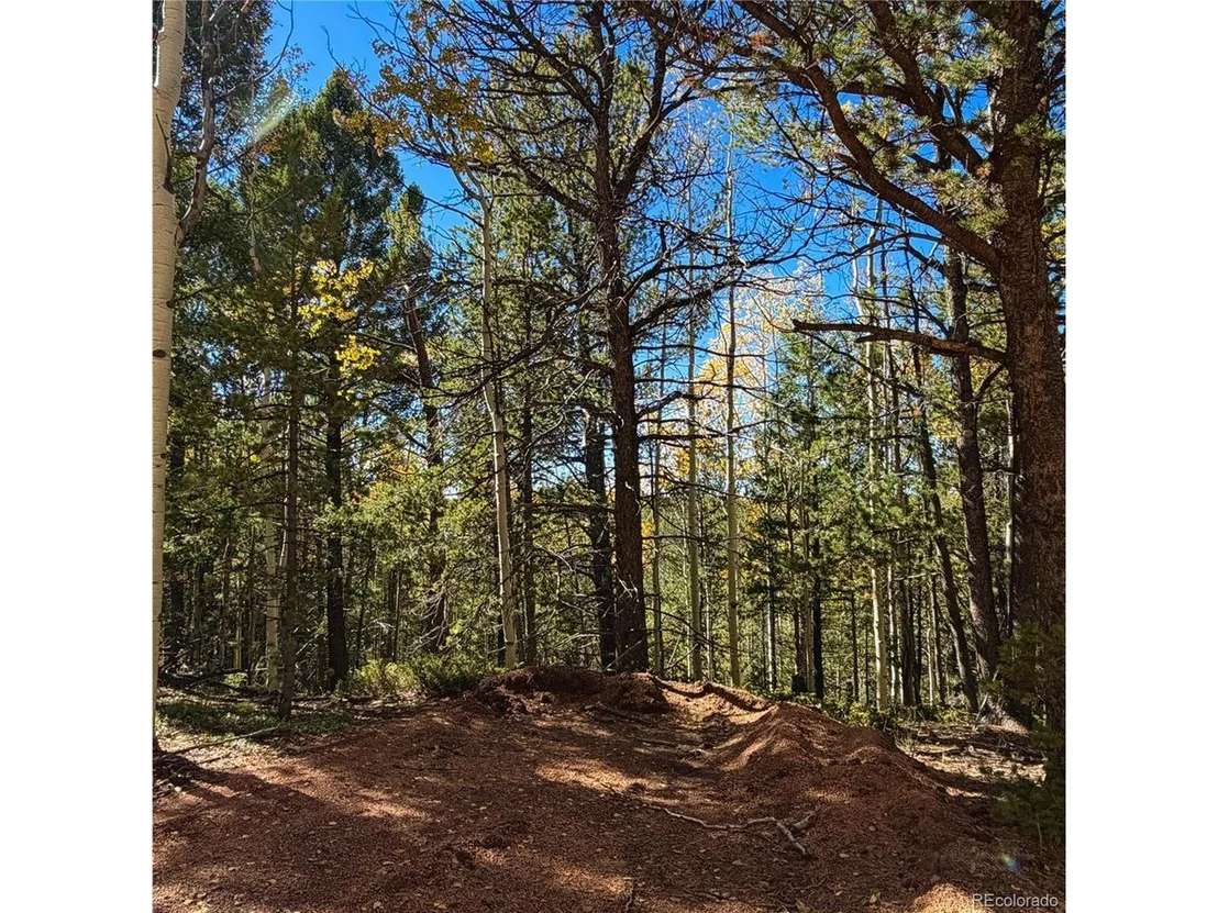 Photo of 773 Timber Ridge Rd