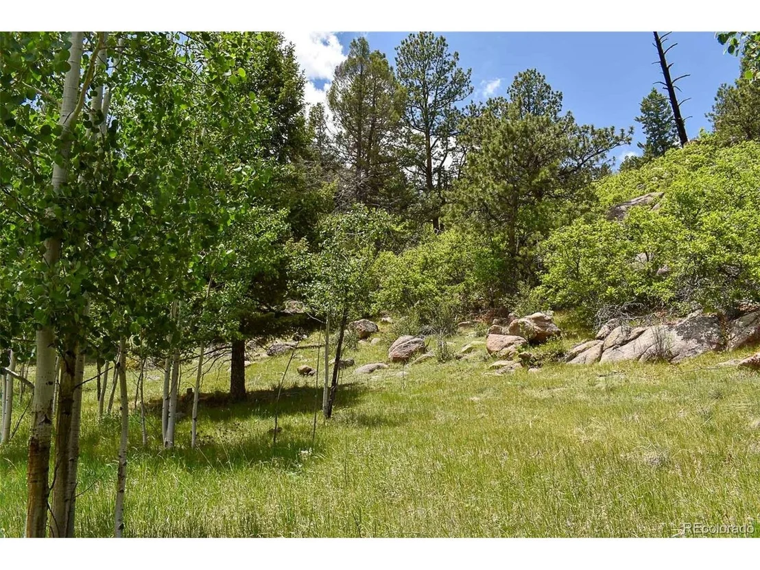 Photo of 281 Deer Ln