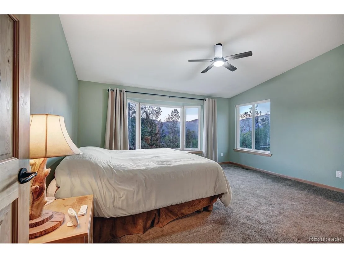 Photo of 1243 Platte River Dr