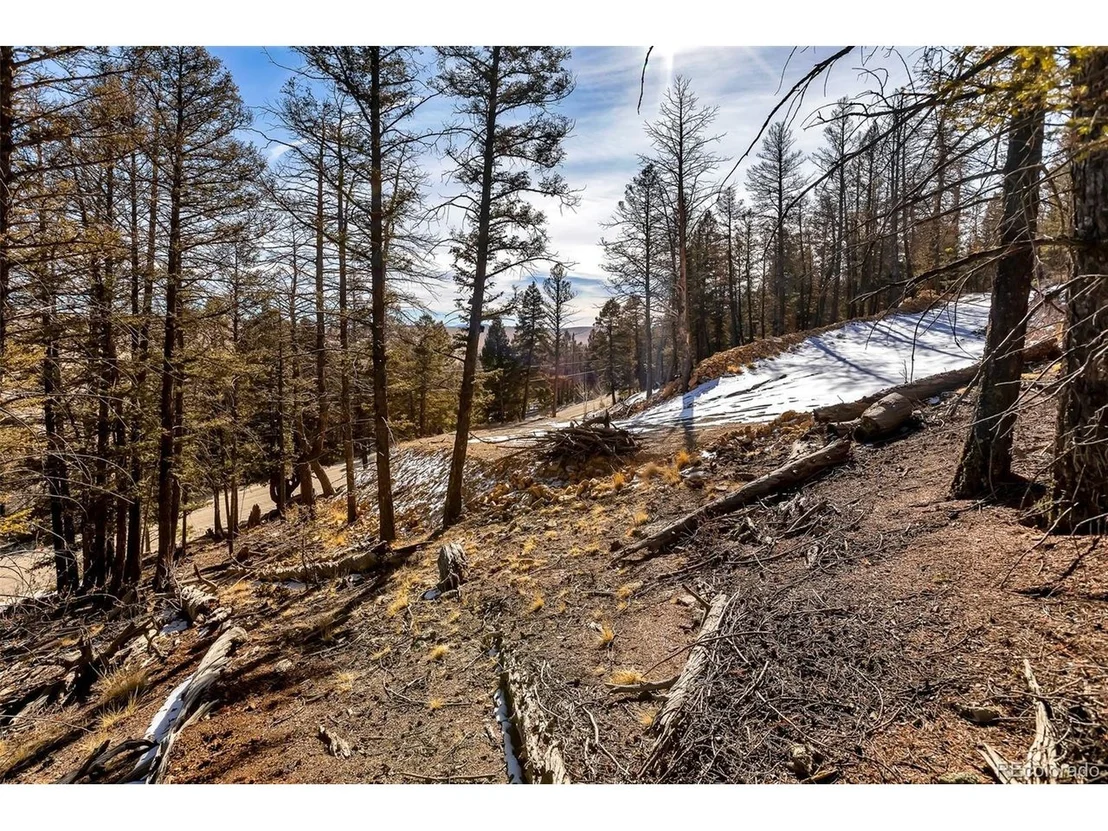 Photo of 1423 Redhill Rd