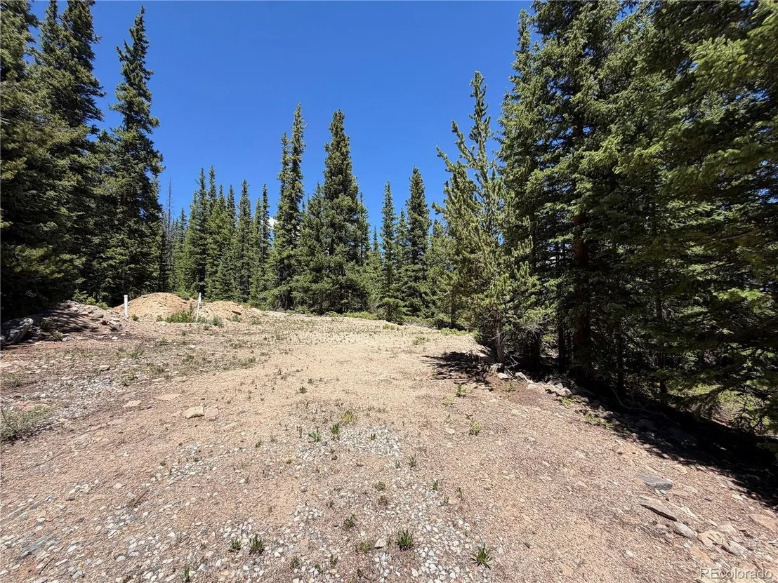 Photo of 339 Silverheels Pl