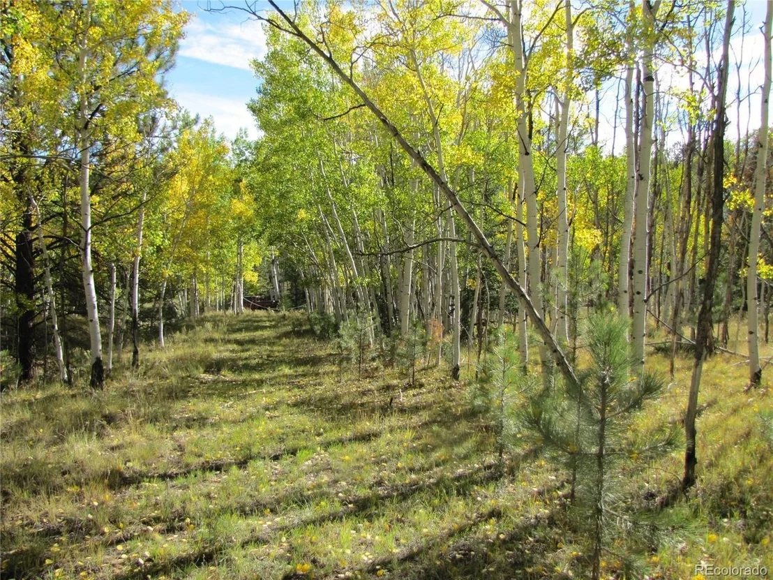 Photo of 700 Campfire Rd