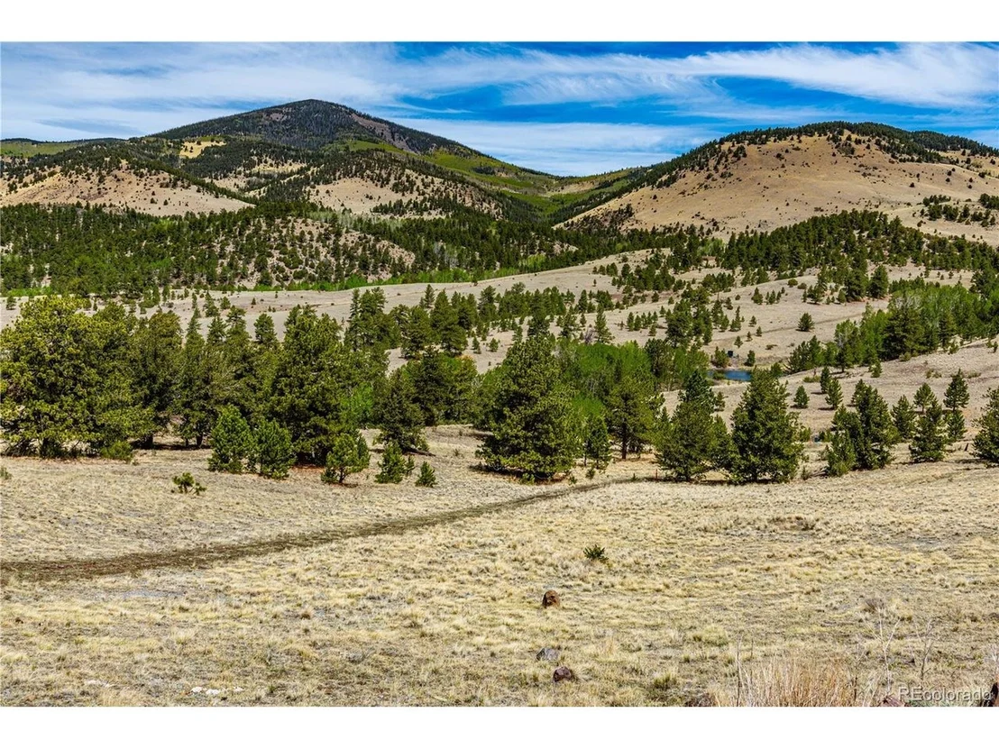 Photo of 1282 County Road 169a