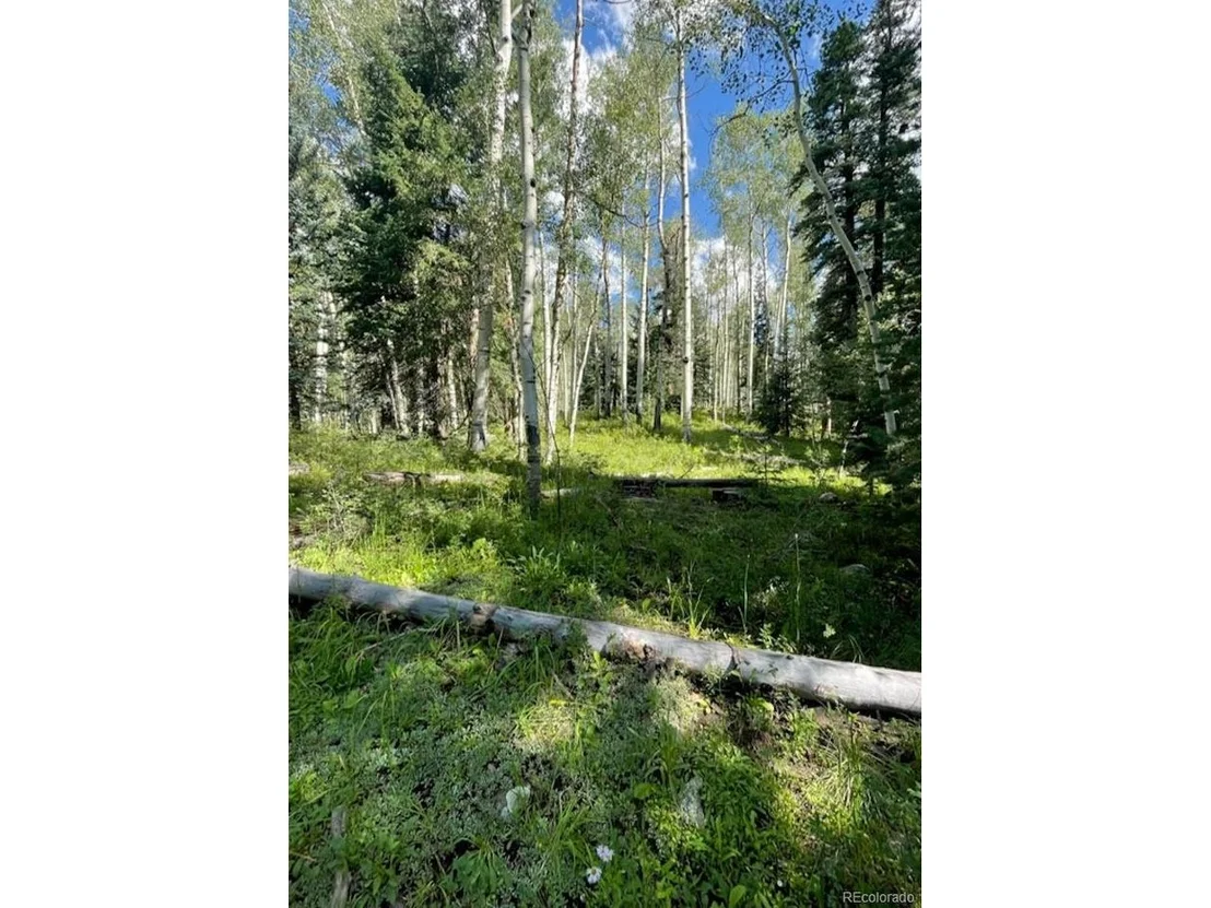 Photo of 207 Camp Robber Dr