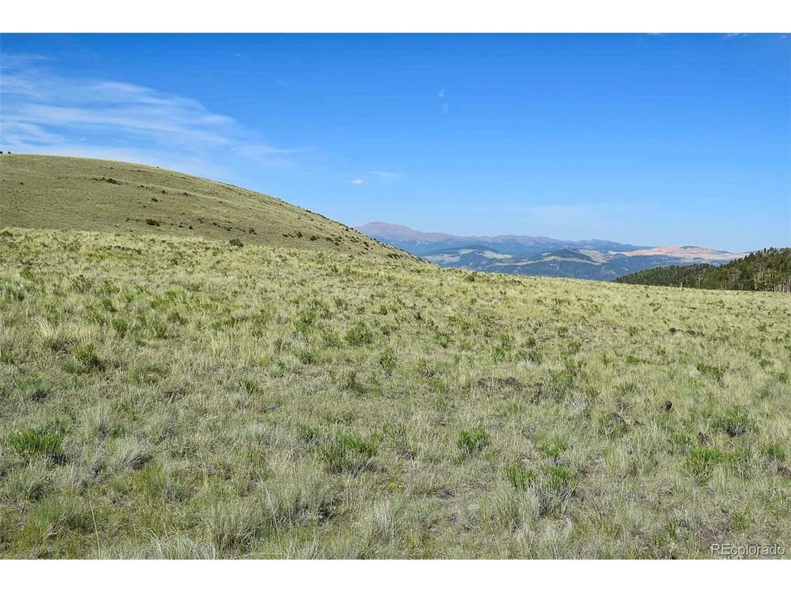 Photo of 0 Bear Cat Rd