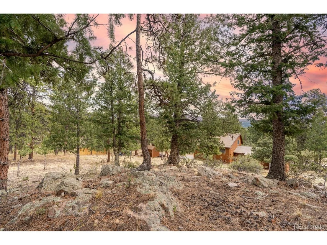Photo of 43 Doe Cir