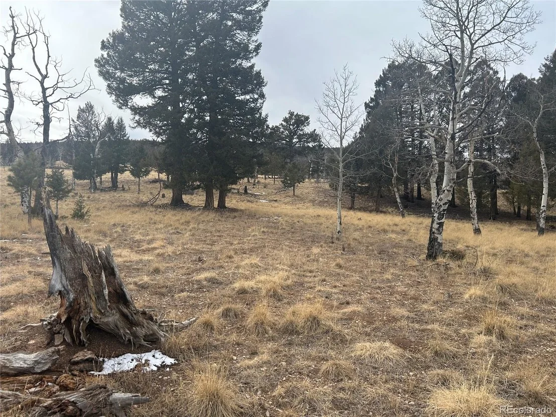 Photo of 1421 Pitchfork Rd