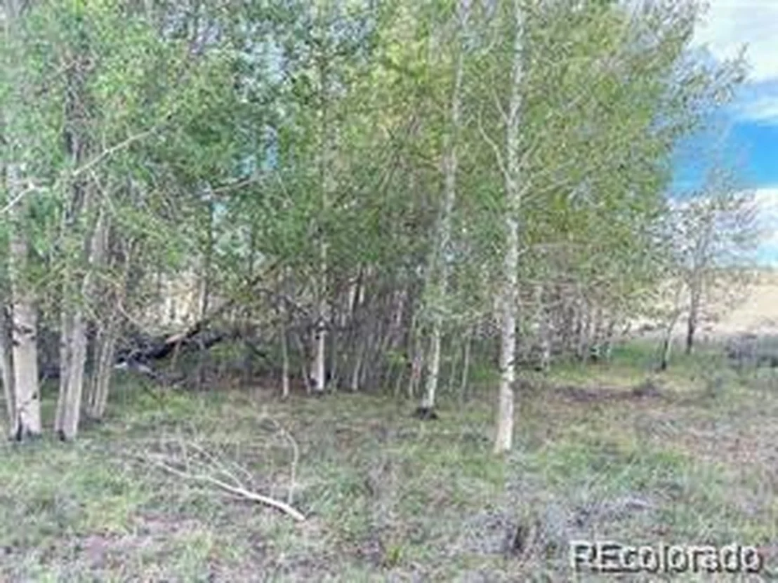 Photo of 1599 Campfire Rd