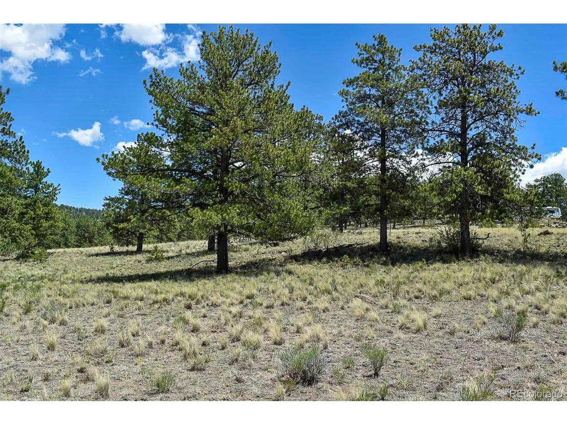 Photo of 4278 County Road 71