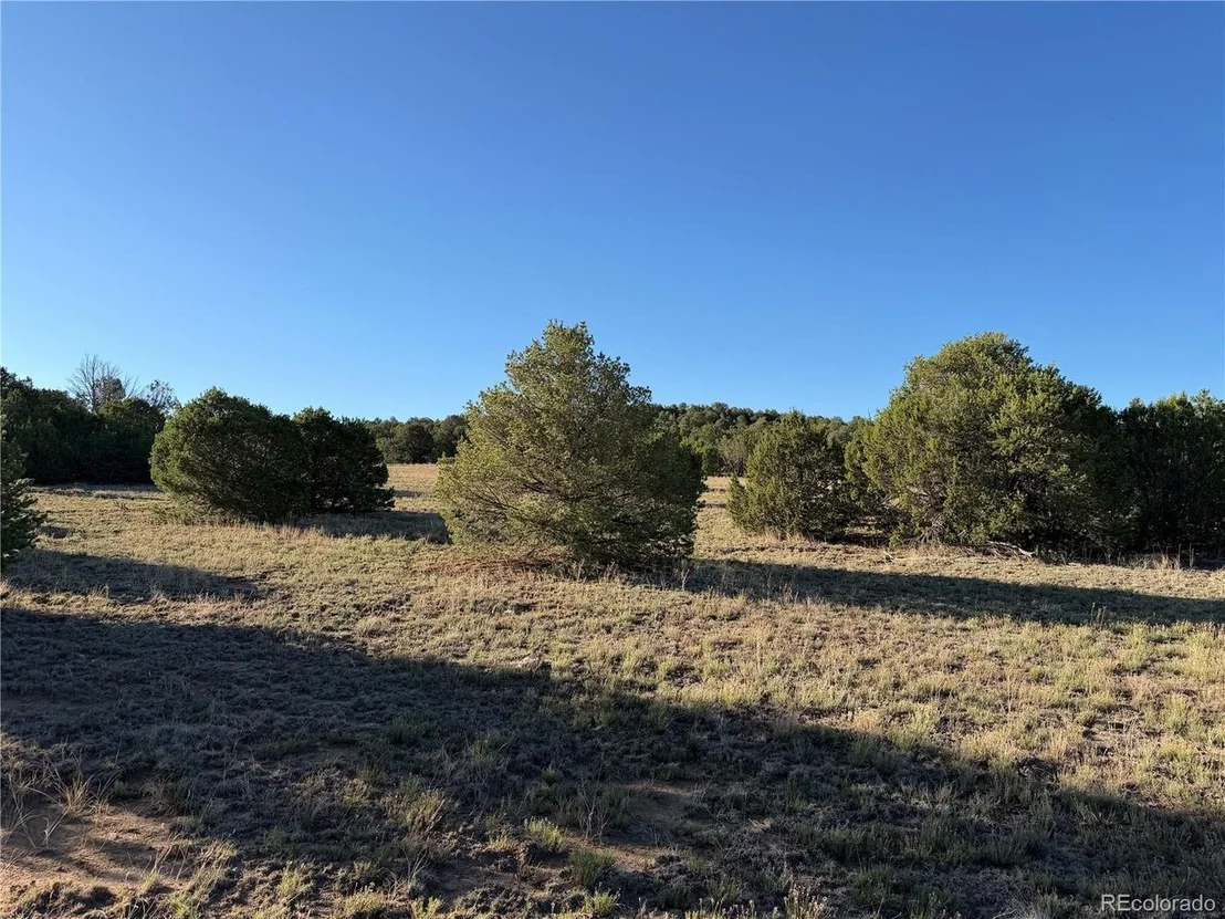 Photo of 141 River Ridge Ranch