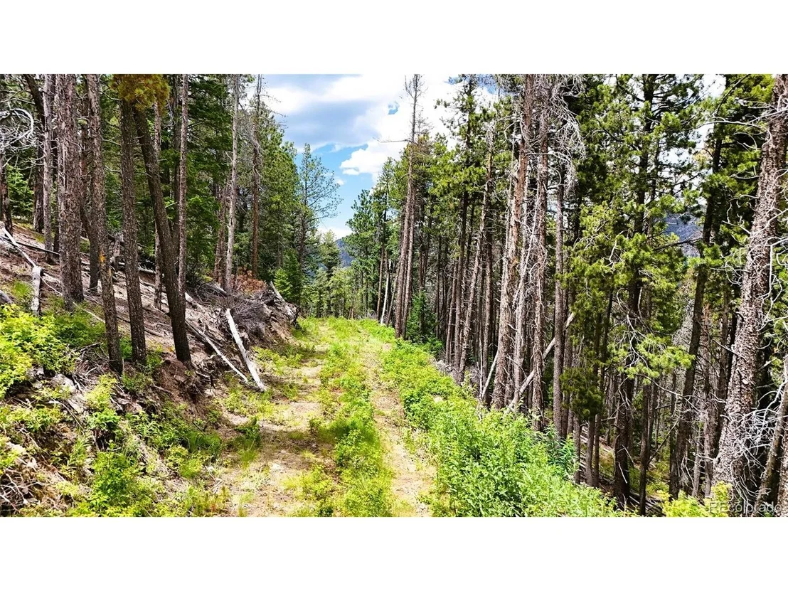 Photo of 8077 Drew Hill Rd
