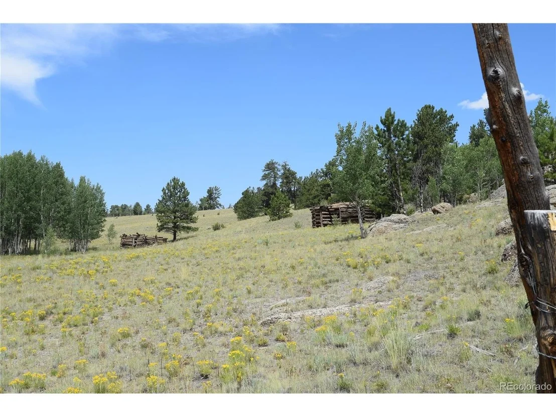 Photo of 1651 Aspen Trl