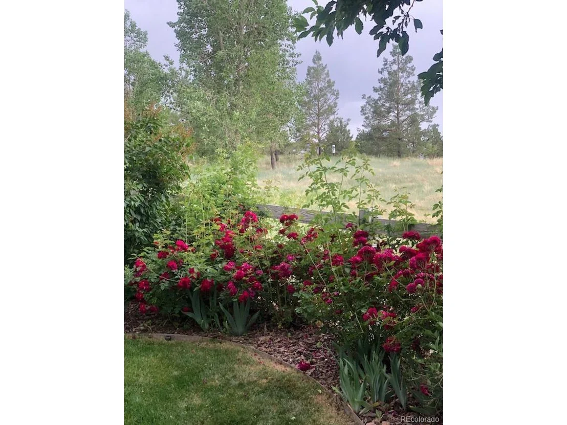 Photo of 288 Maplehurst Pt