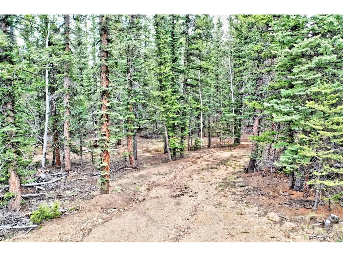 Photo of 243 Bear Way