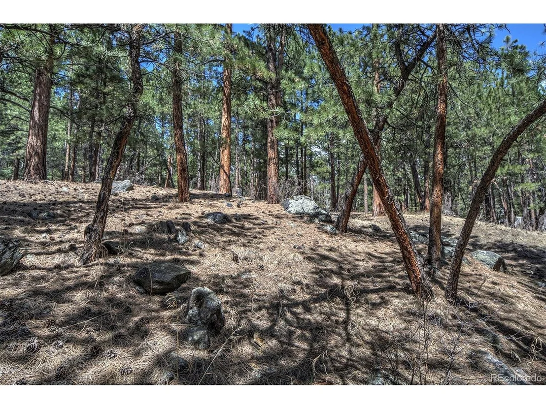 Photo of 27554 Pine Valley Dr