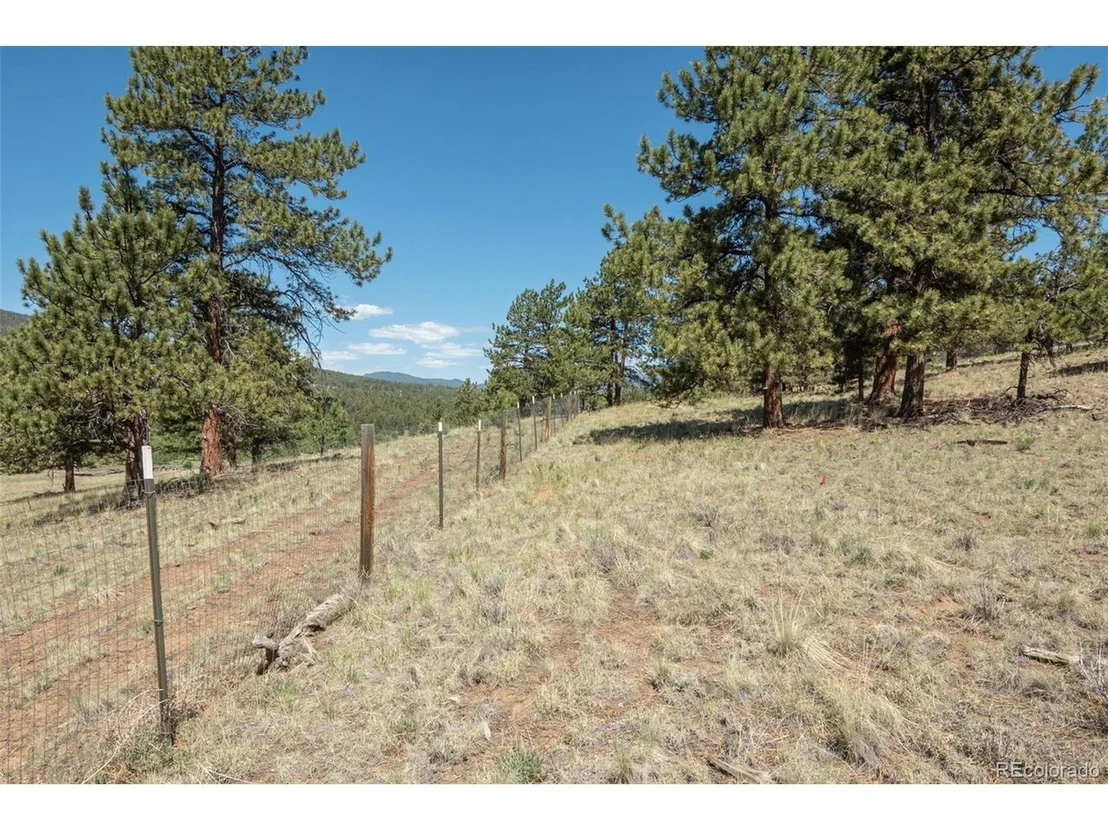 Photo of 3126 Singletree Rd