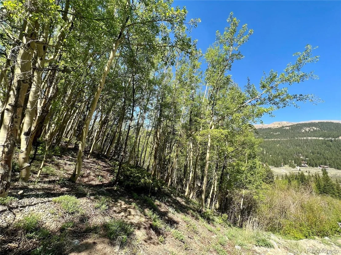 Photo of 529 Roberts Rd