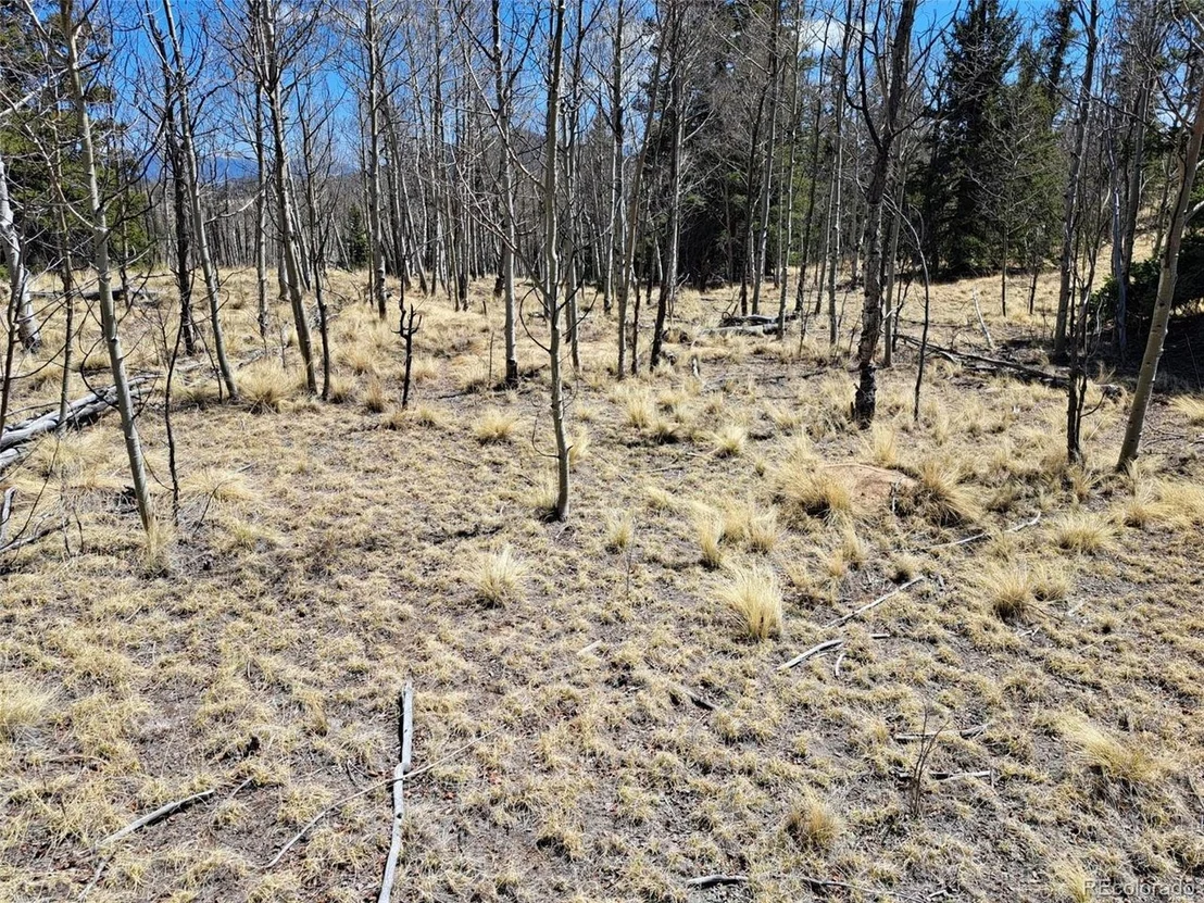 Photo of 730 Tepee Trl