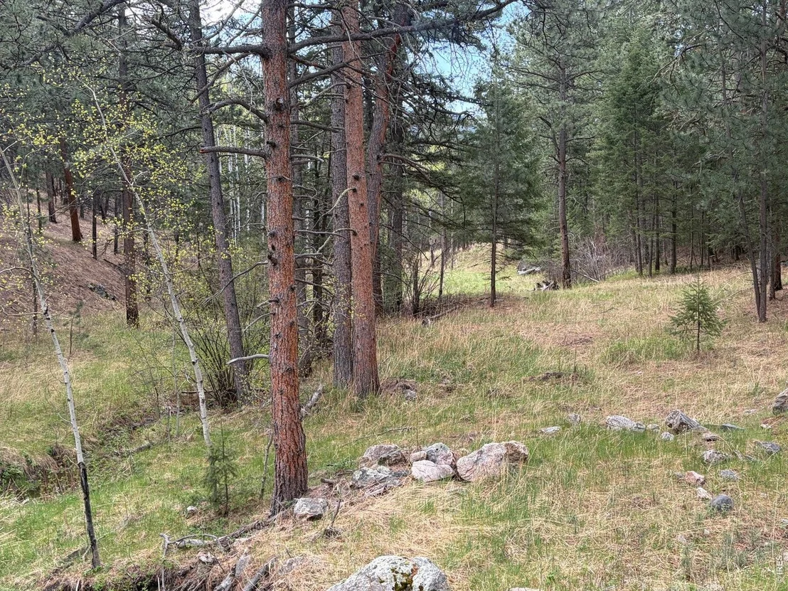 Photo of 1899 Spring Valley Rd