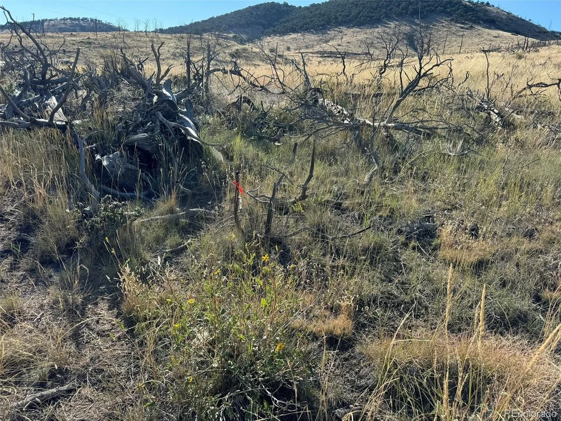 Photo of 0 Copper Gulch Rd