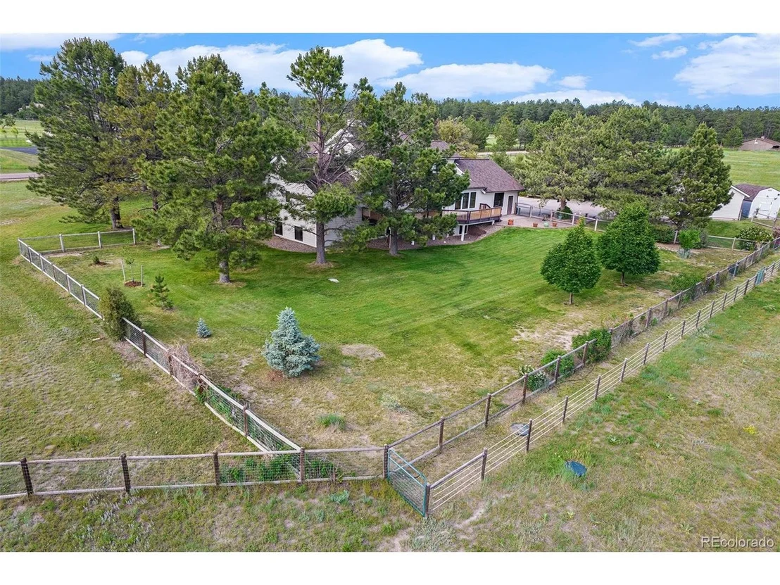 Photo of 497 Grey Squirrel Way