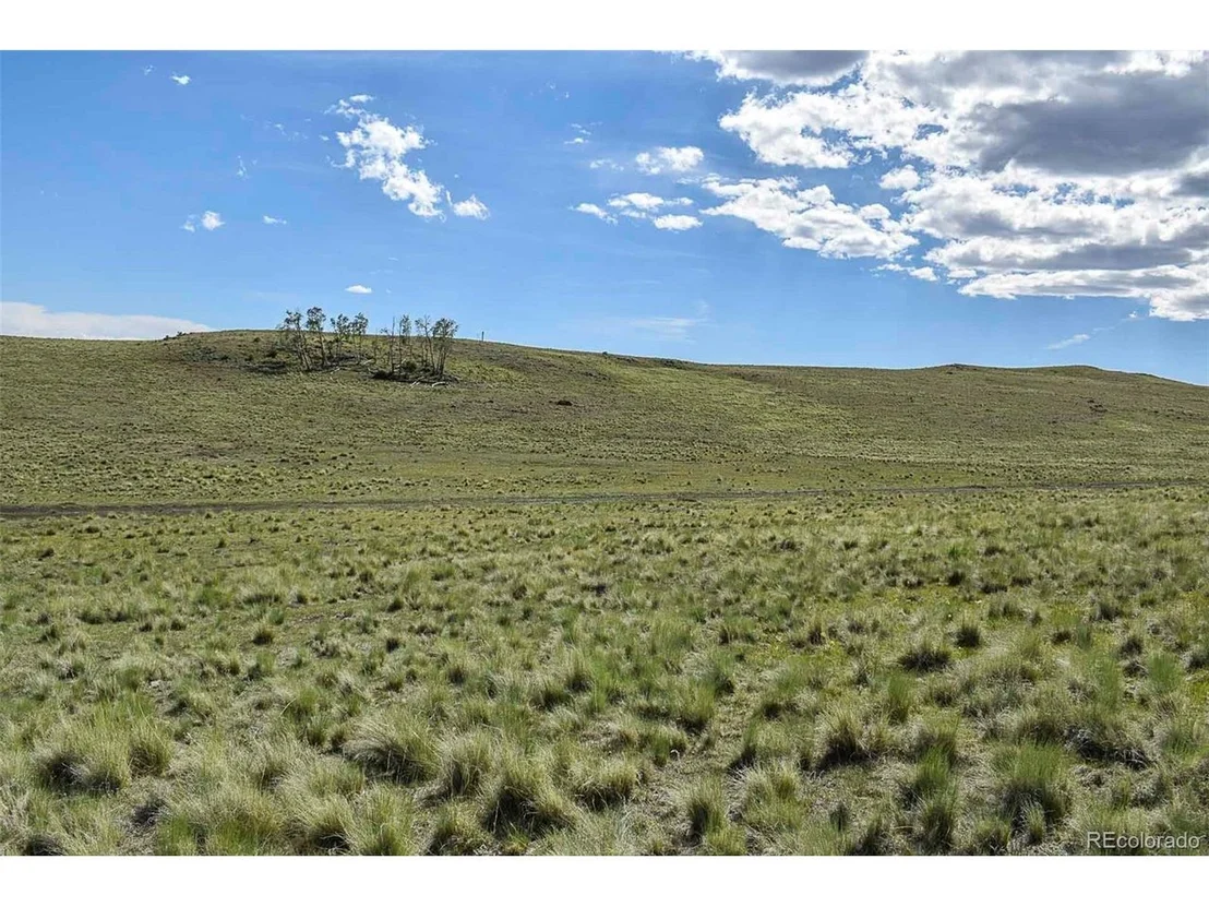 Photo of 0 Bear Cat Rd