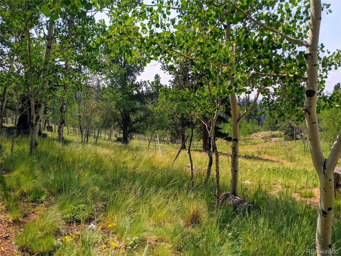 Photo of 1168 Bowstring Rd